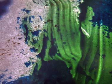 pürüzlü yüzeyi çok renkli boya