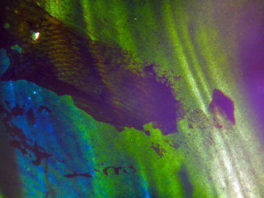 pürüzlü yüzeyi çok renkli boya