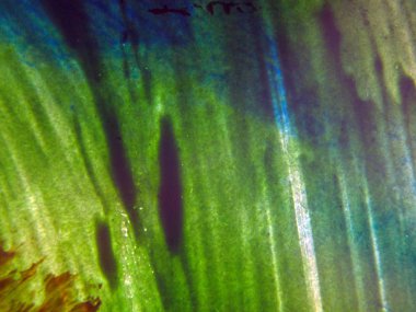 pürüzlü yüzeyi çok renkli boya