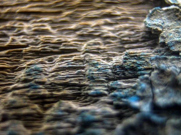 pürüzlü yüzeyi çok renkli boya