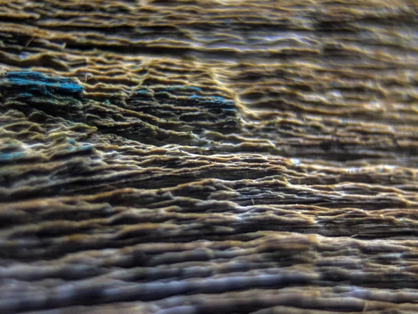 pürüzlü yüzeyi çok renkli boya