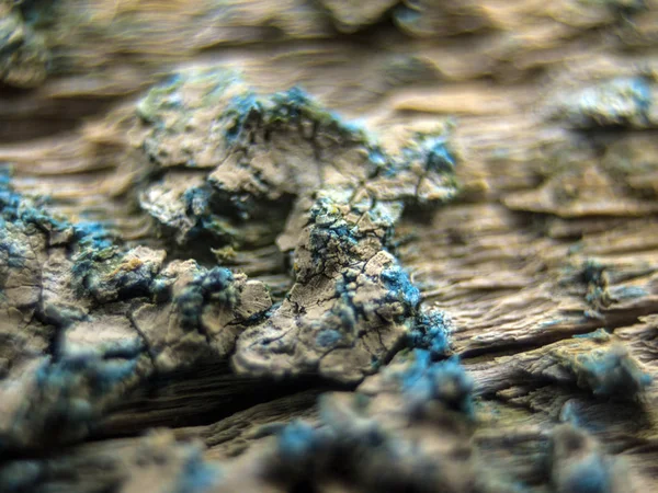 pürüzlü yüzeyi çok renkli boya