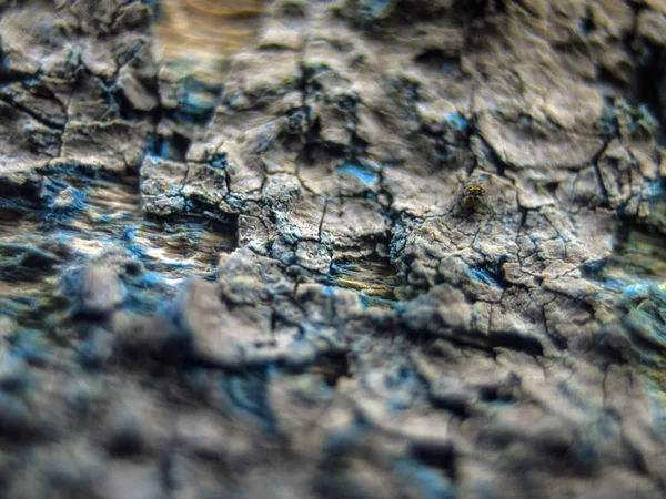 pürüzlü yüzeyi çok renkli boya