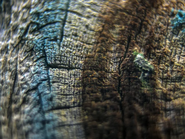 pürüzlü yüzeyi çok renkli boya