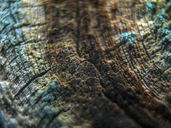 pürüzlü yüzeyi çok renkli boya