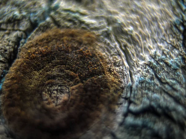 pürüzlü yüzeyi çok renkli boya