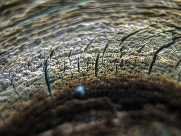 pürüzlü yüzeyi çok renkli boya