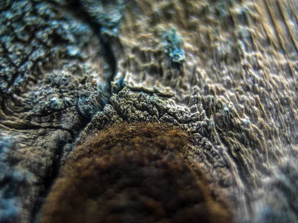 pürüzlü yüzeyi çok renkli boya