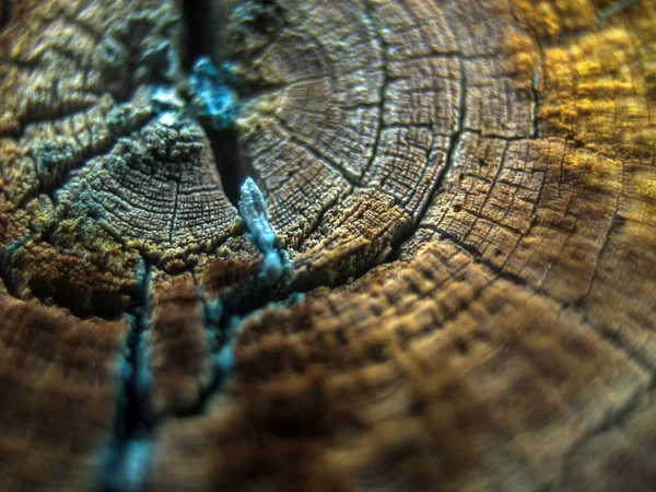 pürüzlü yüzeyi çok renkli boya