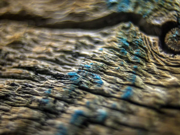 Pürüzlü Yüzeyi Çok Renkli Boya — Stok fotoğraf