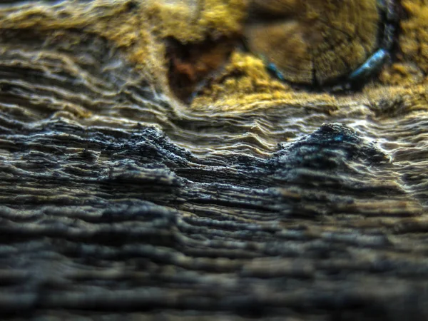 pürüzlü yüzeyi çok renkli boya