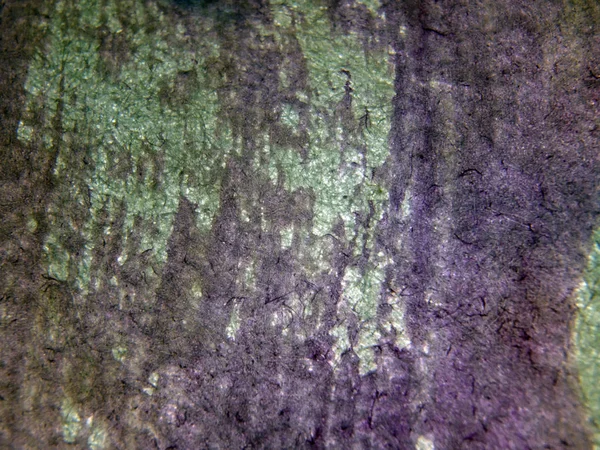 pürüzlü yüzeyi çok renkli boya