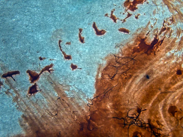 pürüzlü yüzeyi çok renkli boya