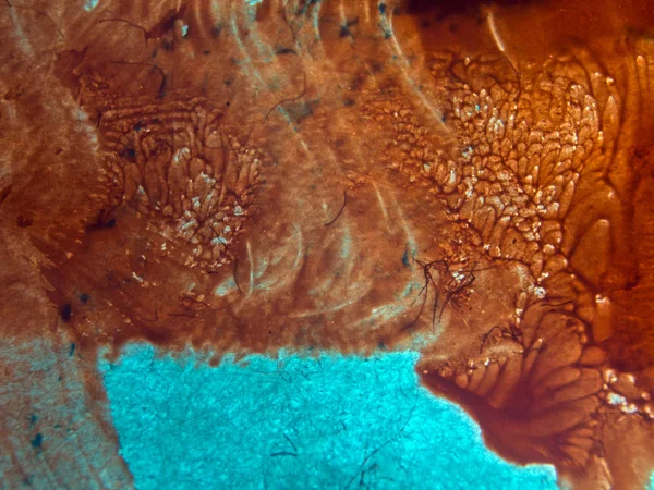 pürüzlü yüzeyi çok renkli boya