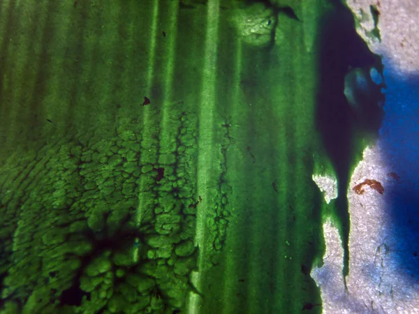 pürüzlü yüzeyi çok renkli boya