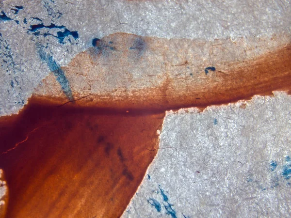 pürüzlü yüzeyi çok renkli boya