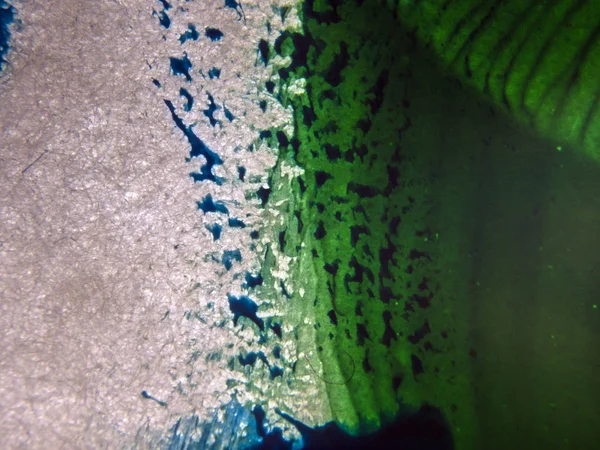 pürüzlü yüzeyi çok renkli boya