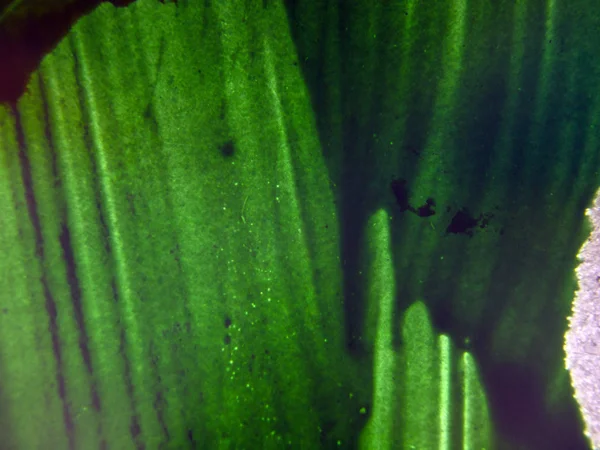 pürüzlü yüzeyi çok renkli boya