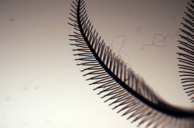 hacimsel doku nesneleri