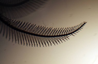 hacimsel doku nesneleri