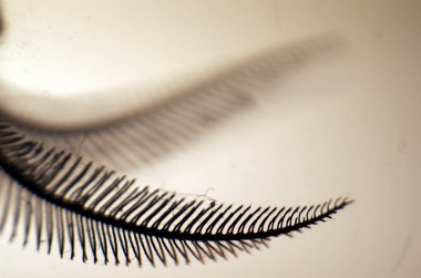 hacimsel doku nesneleri