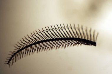 hacimsel doku nesneleri