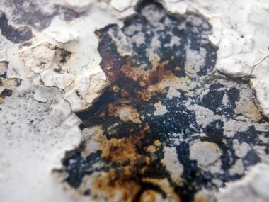 hacimsel doku nesneleri