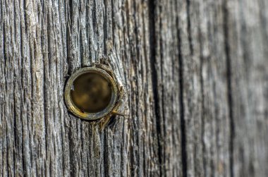 hacimsel doku nesneleri