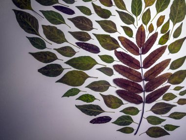 hacimsel doku nesneleri