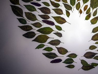 hacimsel doku nesneleri