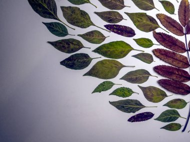 hacimsel doku nesneleri