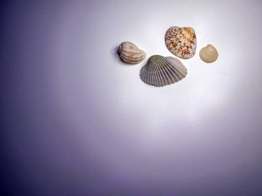 hacimsel doku nesneleri