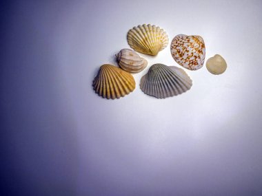 hacimsel doku nesneleri