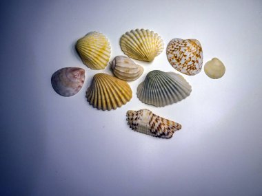 hacimsel doku nesneleri