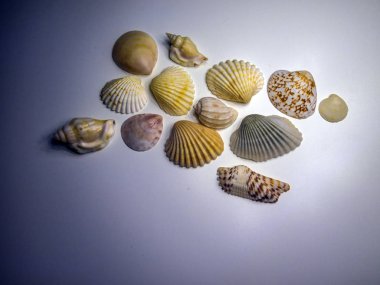 hacimsel doku nesneleri