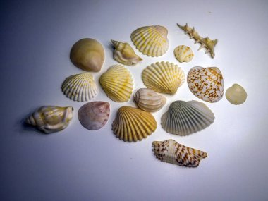 hacimsel doku nesneleri