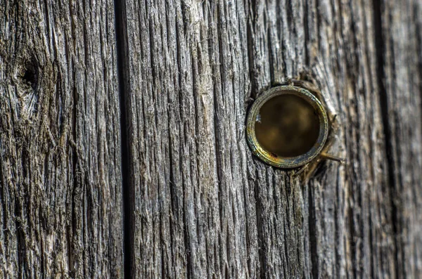 hacimsel doku nesneleri