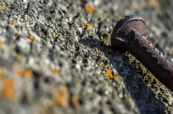 hacimsel doku nesneleri