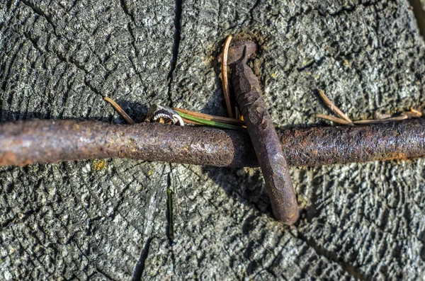 hacimsel doku nesneleri