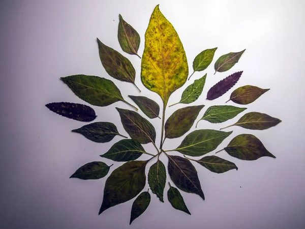 hacimsel doku nesneleri