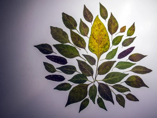 hacimsel doku nesneleri