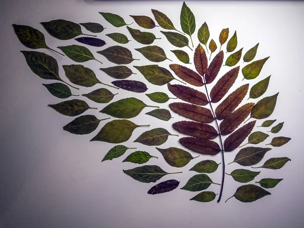 hacimsel doku nesneleri