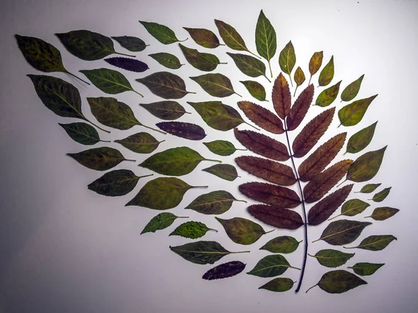 hacimsel doku nesneleri