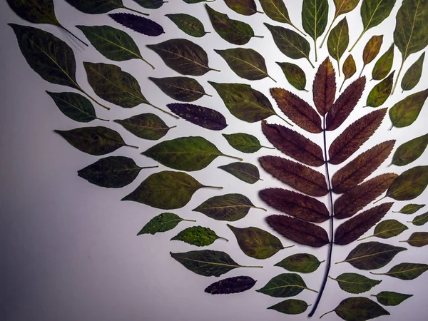 hacimsel doku nesneleri