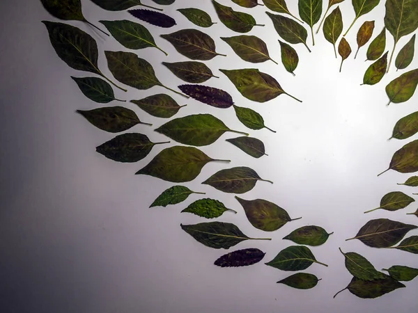 hacimsel doku nesneleri