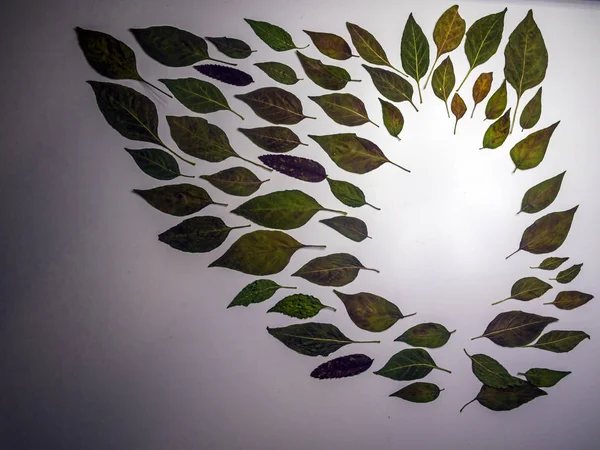 hacimsel doku nesneleri