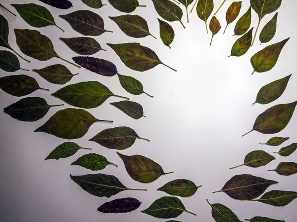 hacimsel doku nesneleri