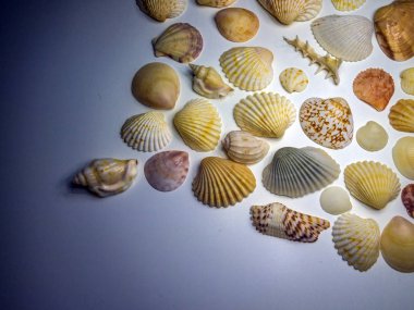 hacimsel doku nesneleri