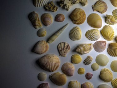 hacimsel doku nesneleri