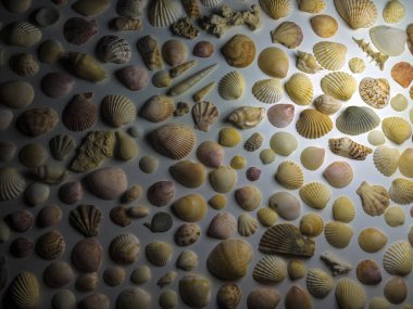 hacimsel doku nesneleri